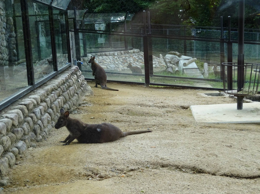 Satsukiyama Zoo-池田市必去景点