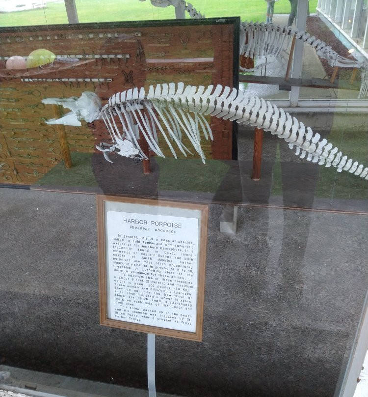 Westport Maritime Museum-Westport必去景点