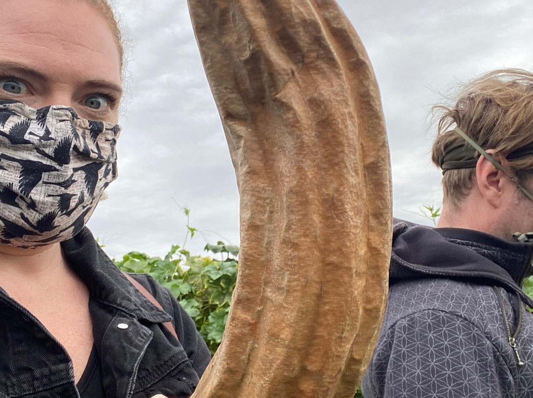 MoonBeam Farm-Corning必去景点