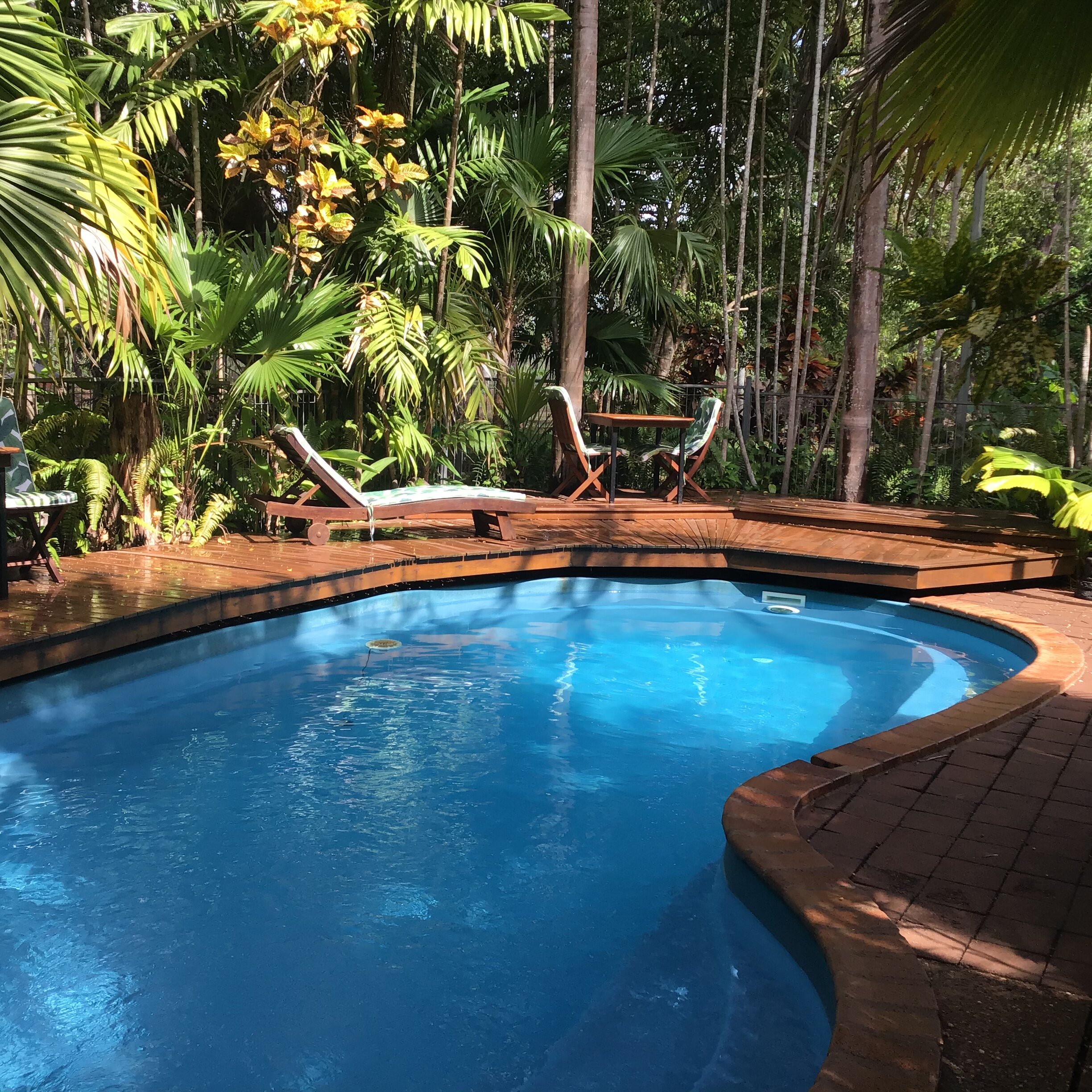 Rum Jungle Bungalows-泳池