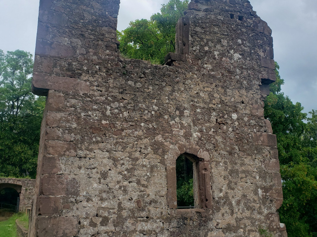 Burg Hohenecken景点图片