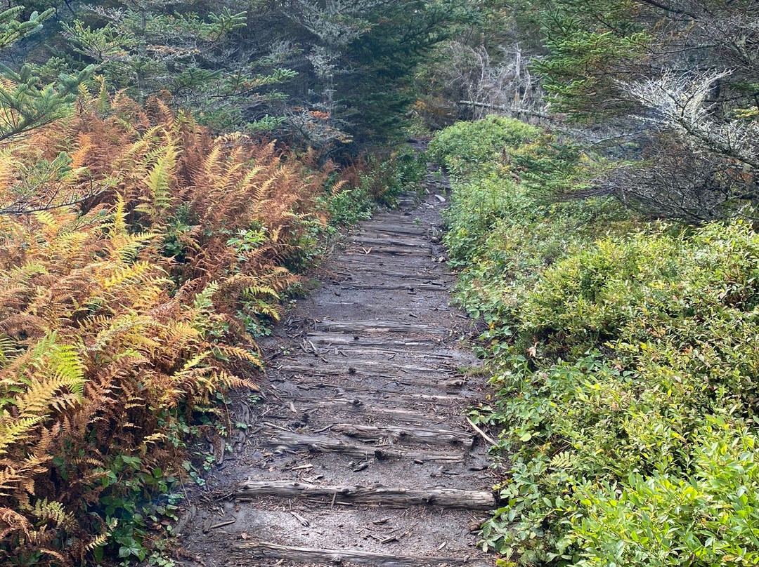 Gaff Point Trail-Riverport必去景点