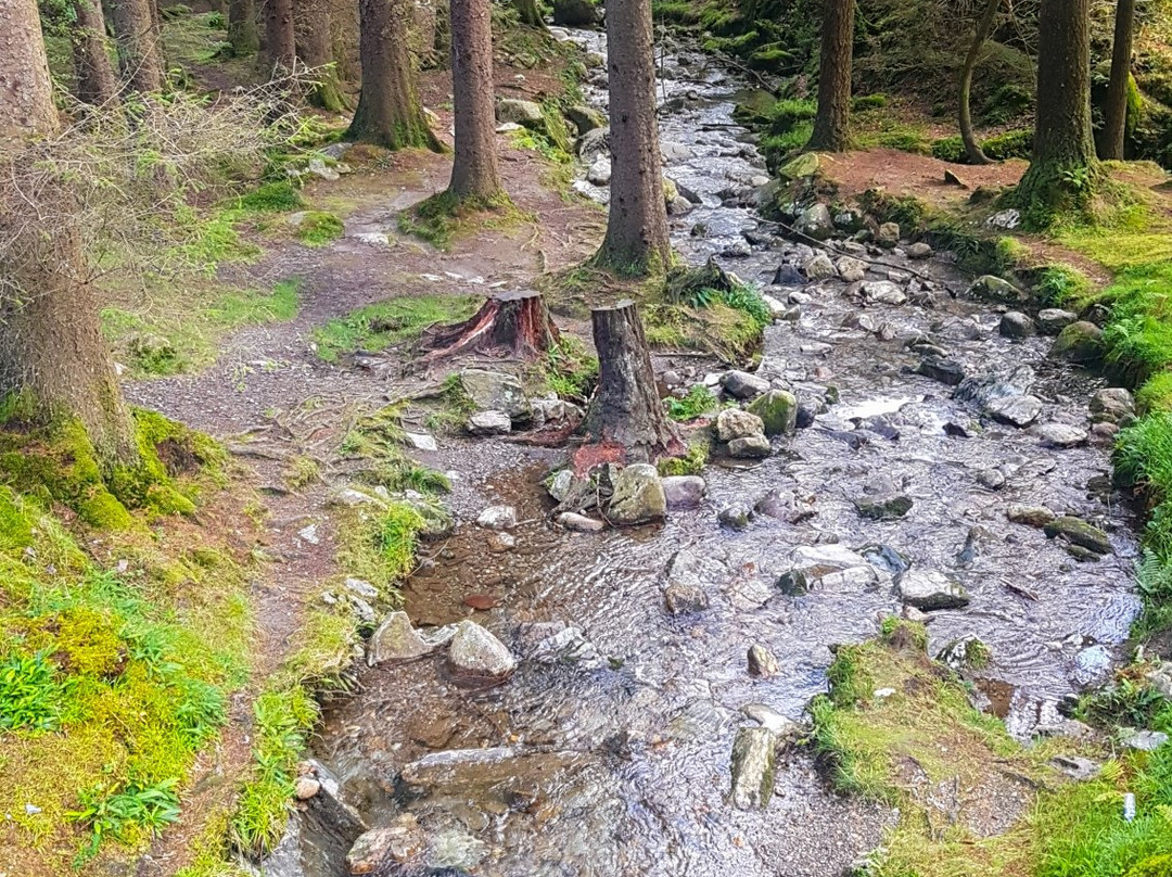 Glendalough Upper Lake-Wicklow必去景点