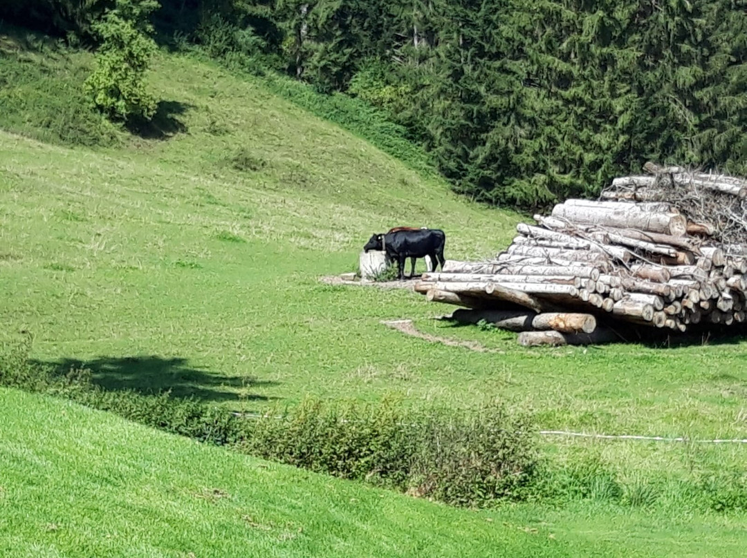 Golfplatz Oberstaufen Buflings景点图片