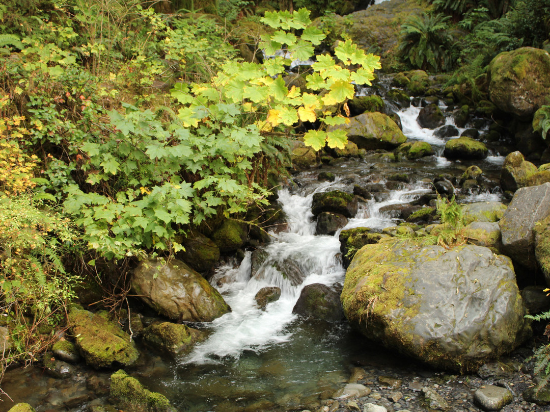 Bunch Creek Falls景点图片