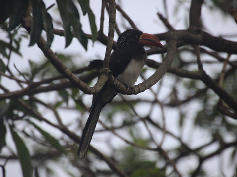 Wild Life Oasis Tours-阿鲁沙必去景点