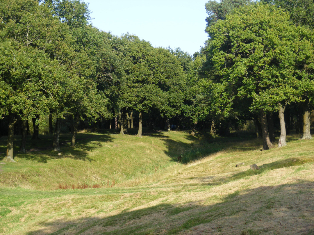 Antonine Roman Wall-福尔柯克必去景点