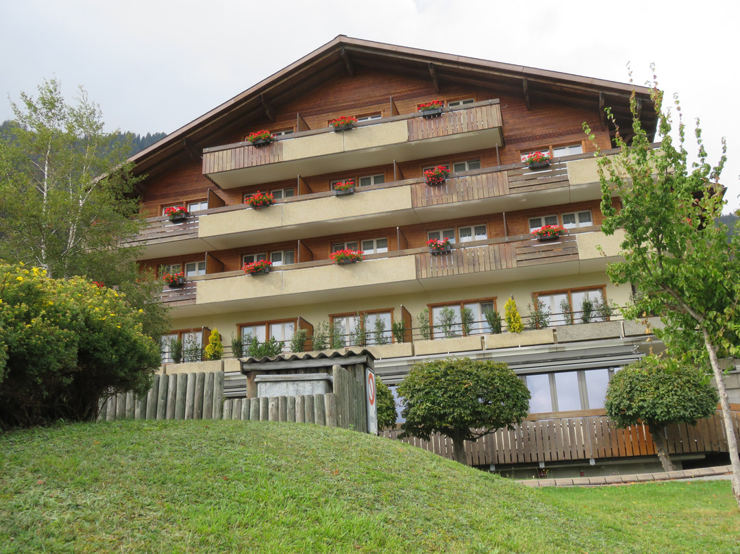 Hotel Steinmattli主图