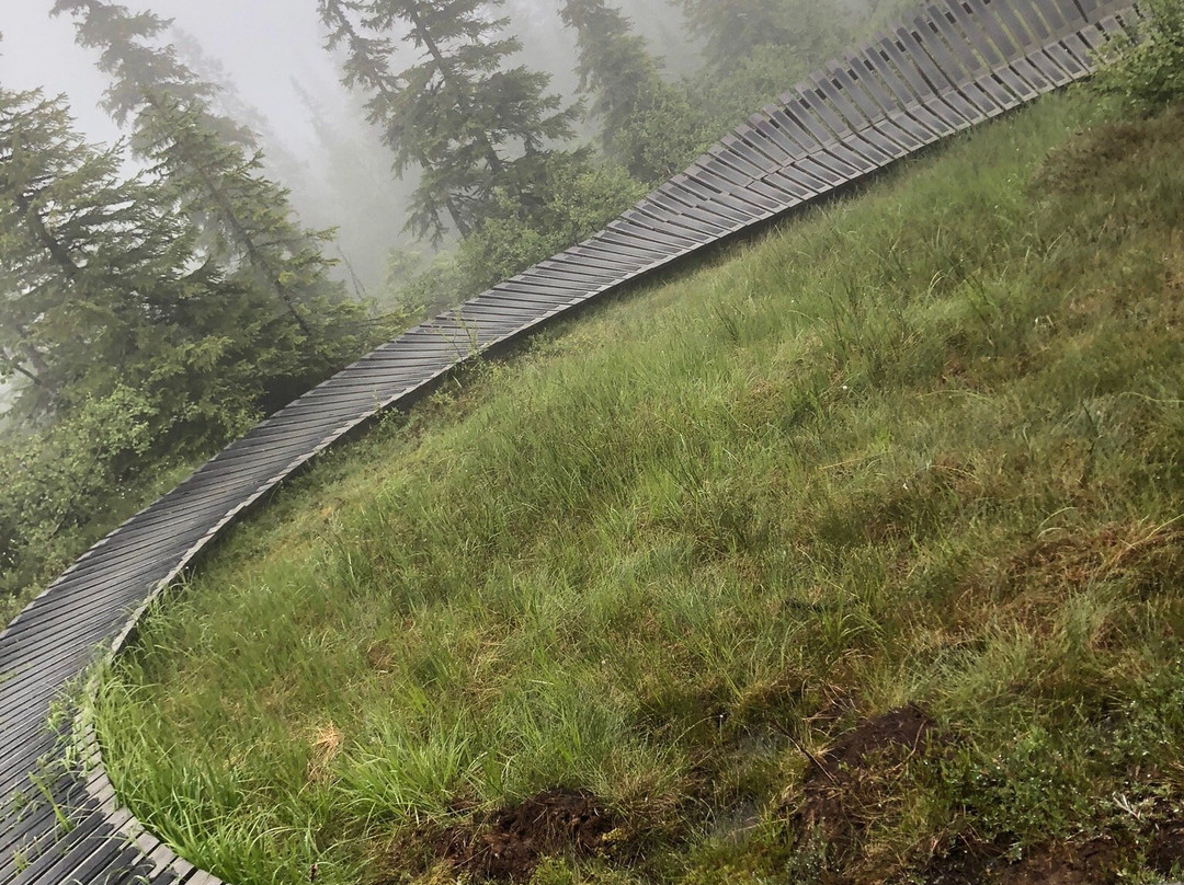Trysil Bike Arena景点图片