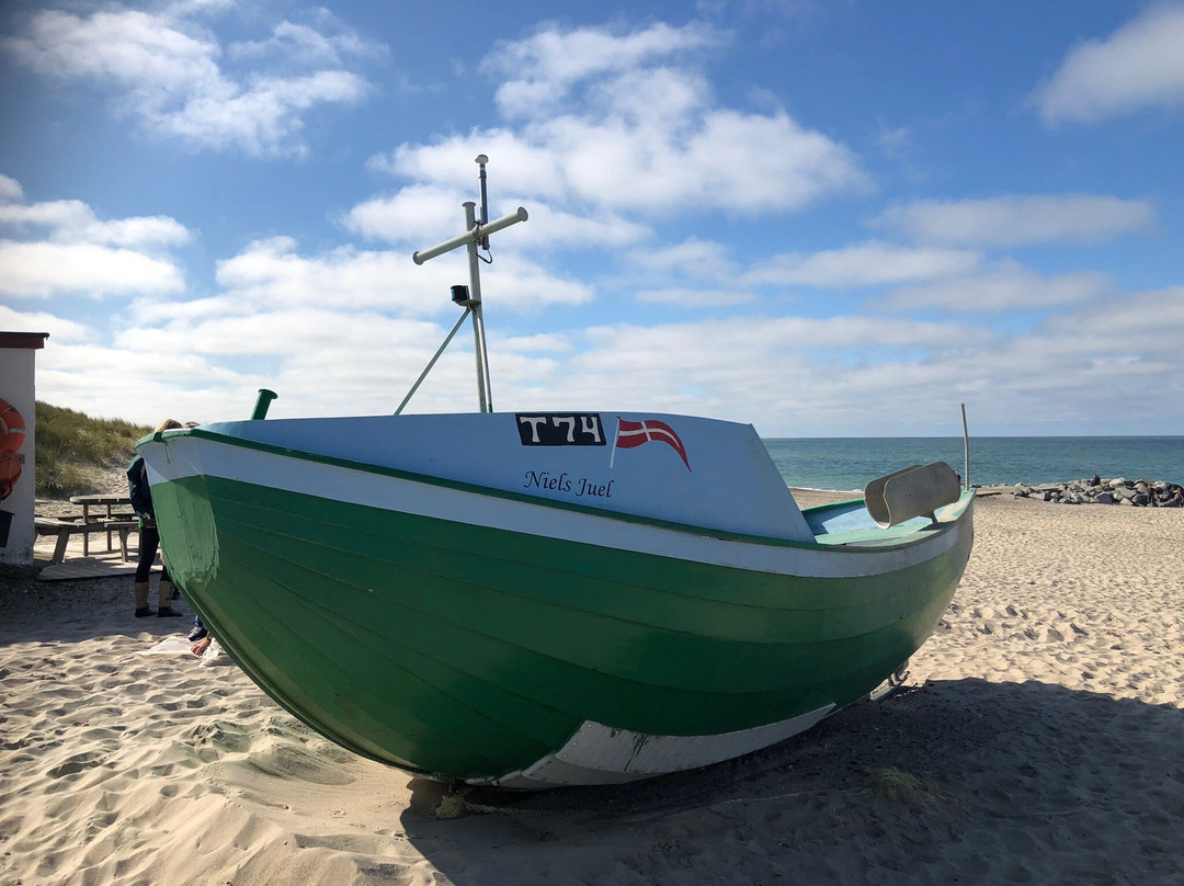 Stenbjerg Strand景点图片