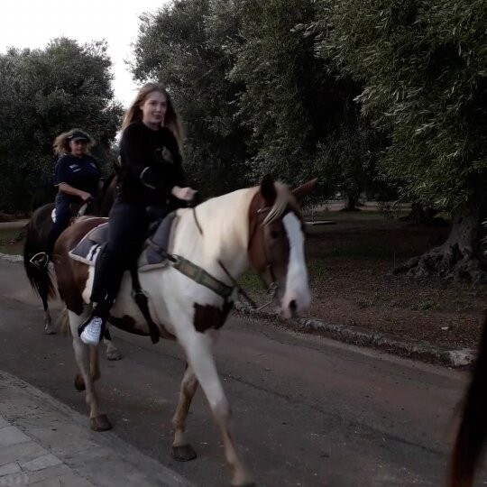 Centro Ippico Parco di Mare ASD-Montalbano必去景点