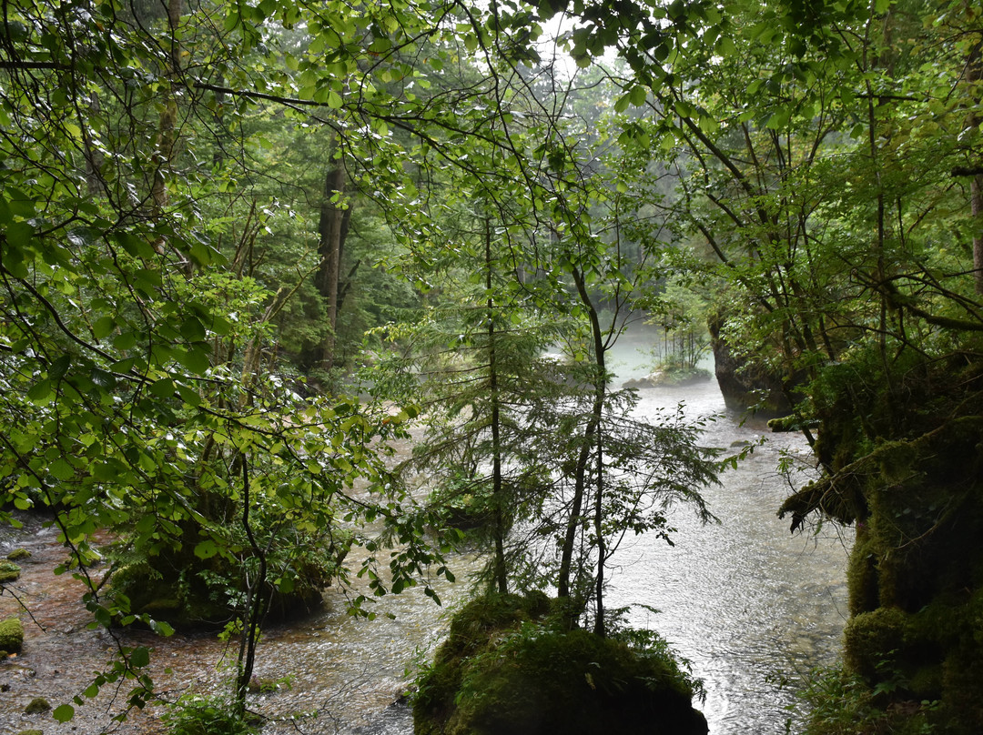 Kamniska Bistrica River-Kamnik必去景点