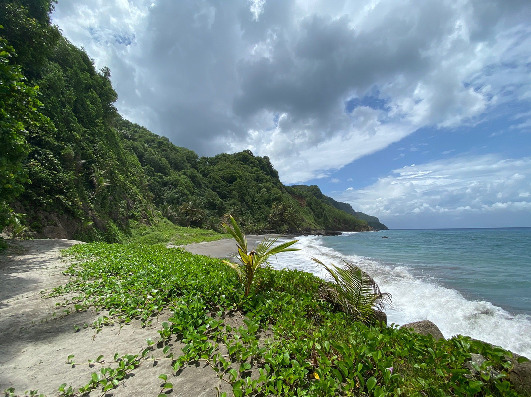 La Plage de Sinai-Grand'Riviere必去景点