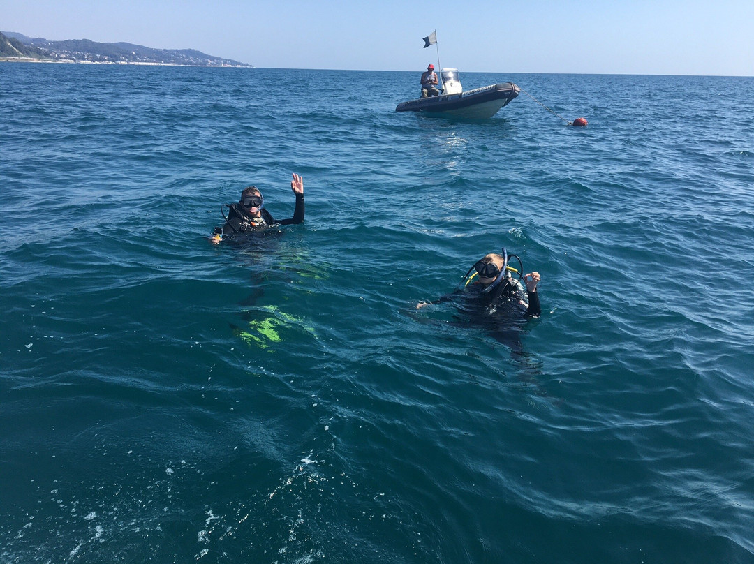 Black Sea Diving College Day Classes景点图片