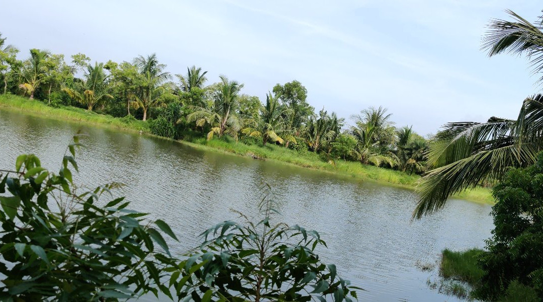 Mallickaa Resort Tajpur主图