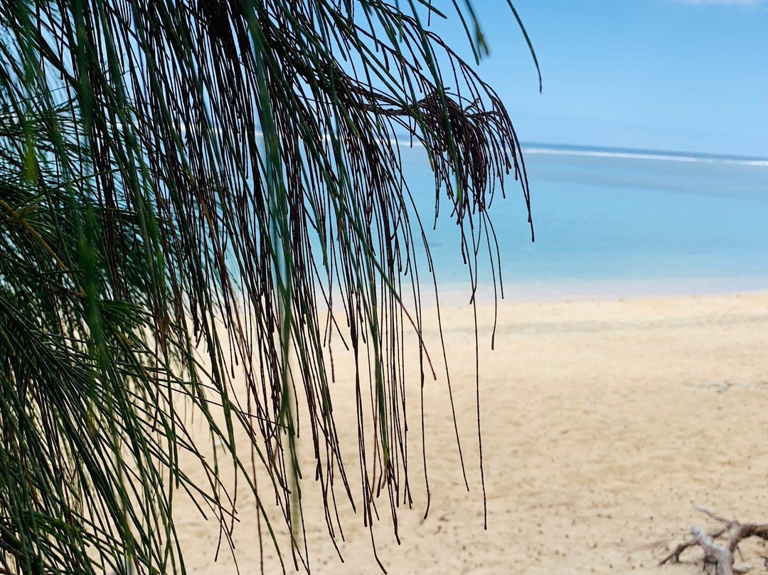 Plage De La Saline les Bains景点图片