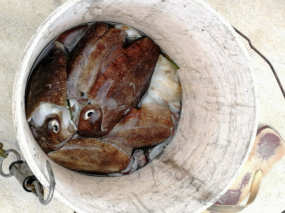 Vumawimbi Beach-奔巴岛必去景点