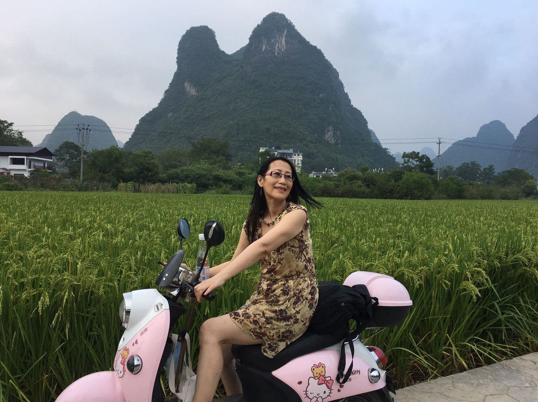 阳朔古迹山水园景点图片