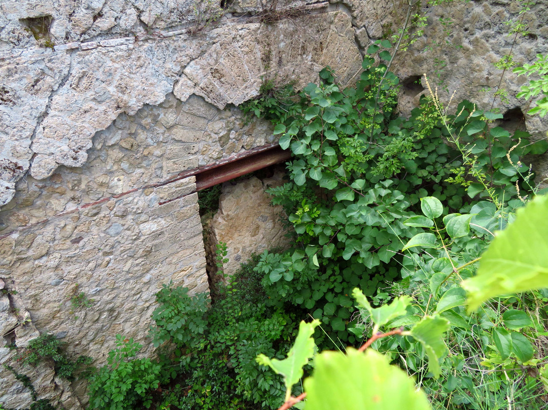 Villa di Tito Flavio Vespasiano景点图片
