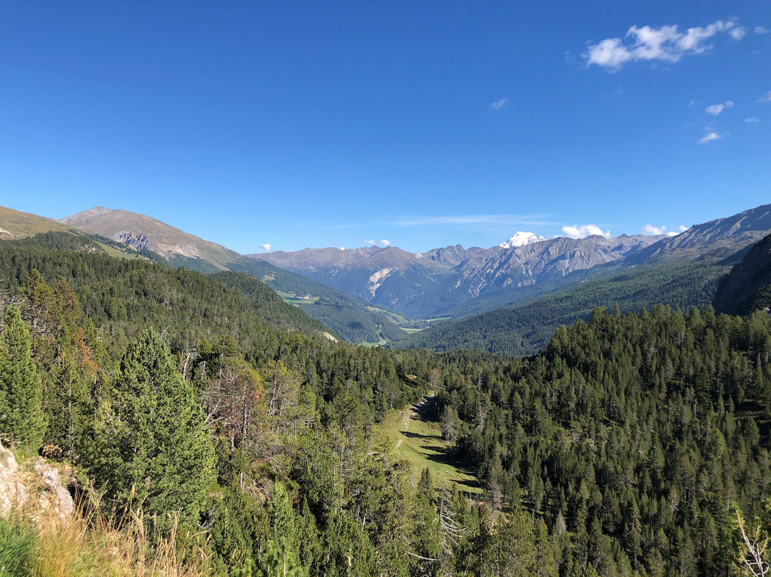 Swiss National Park (Parc Naziunal Svizzer)-Zernez必去景点