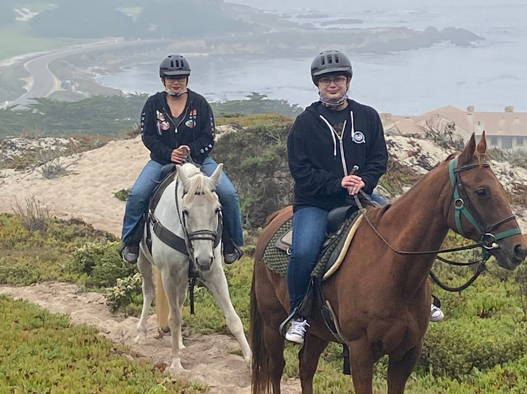 Pebble Beach Equestrian Center-圆石滩必去景点