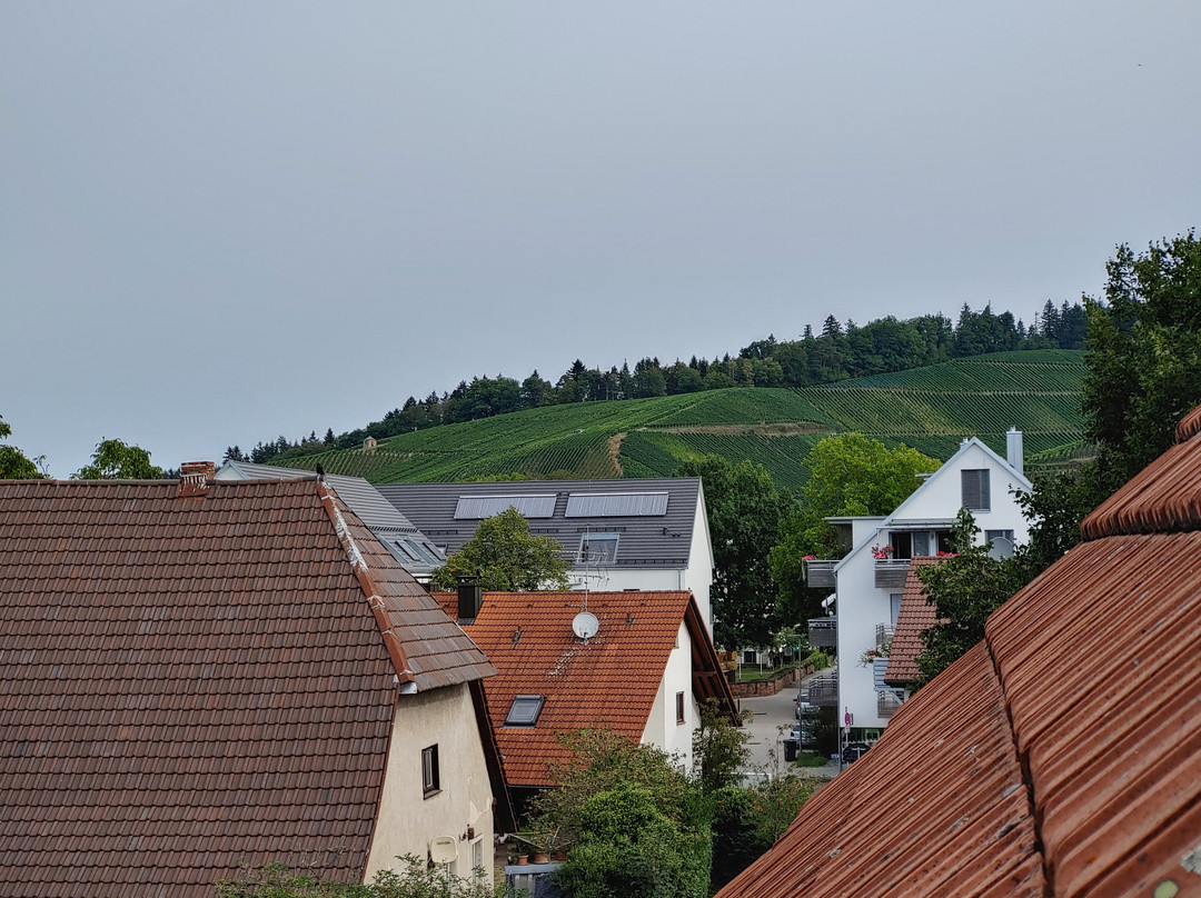 Hotel & Gasthaus Löwen主图
