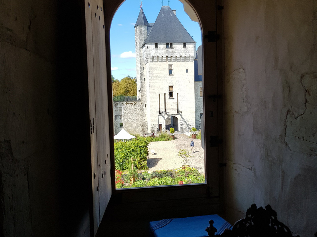 Chateau du Rivau主图