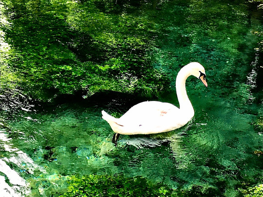 Magic Izvor-瓦尔纳必去景点