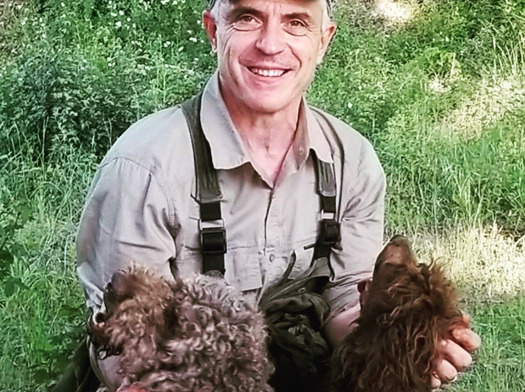 Truffle Hunting in Tuscany景点图片