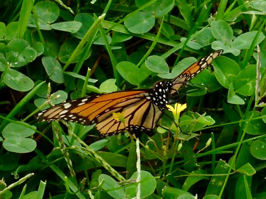Wades Point Inn on the Bay主图