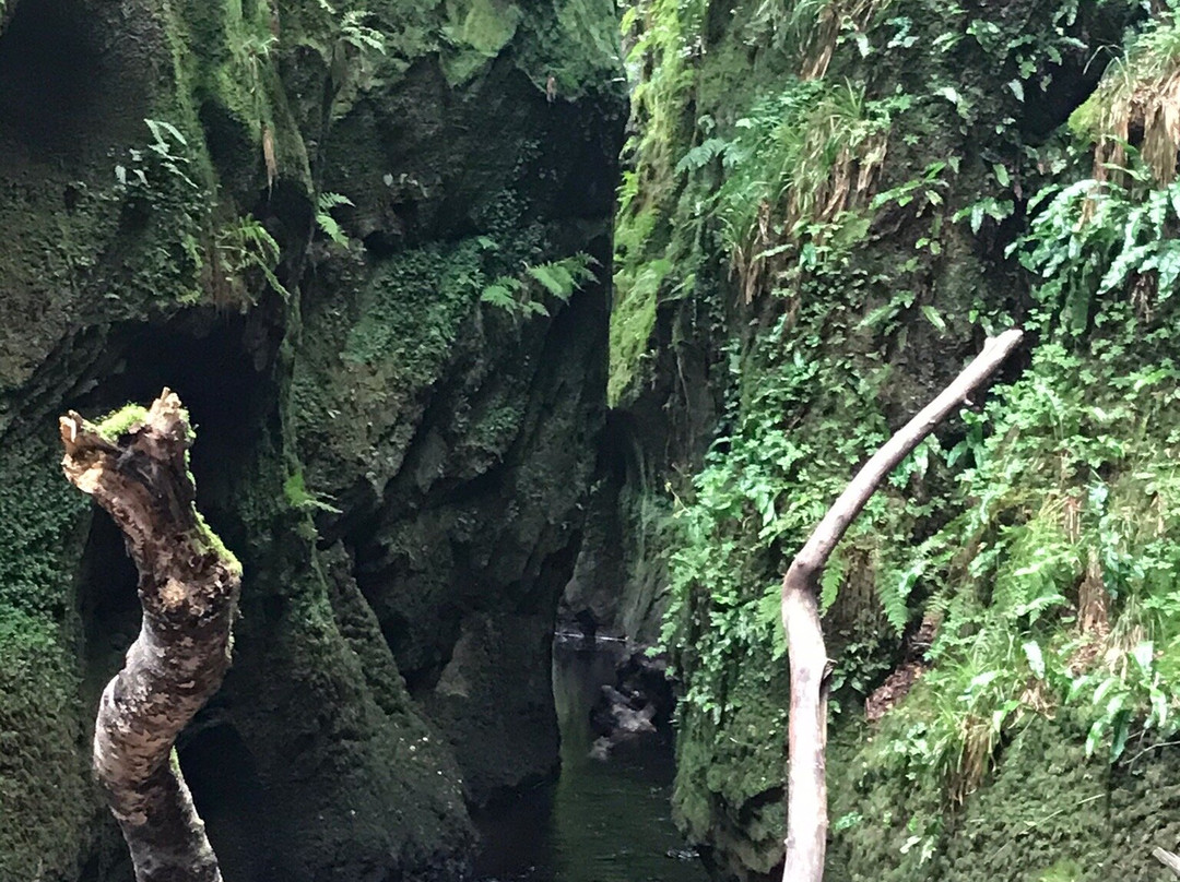 Finnich Glen-格拉斯哥必去景点