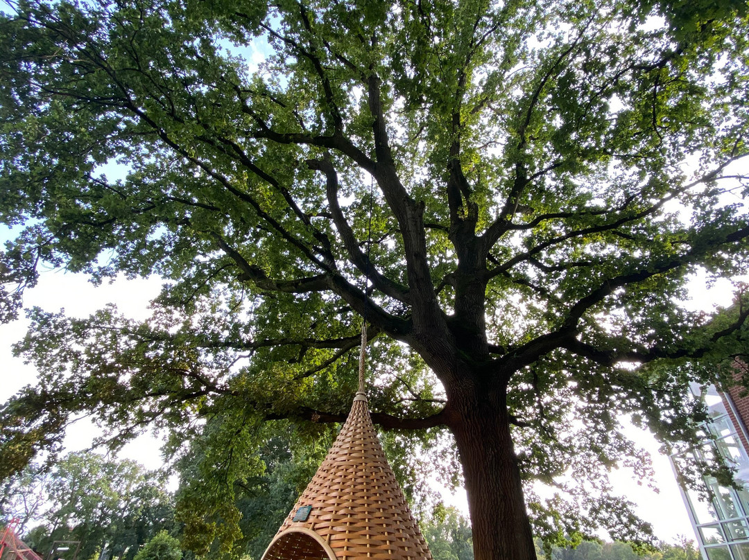 Romantik Hotel Jagdhaus Eiden am See主图