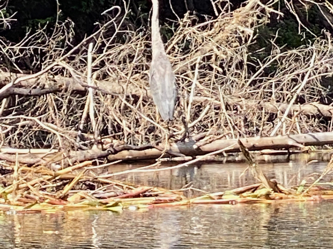 Clyde River Recreation-West Charleston必去景点