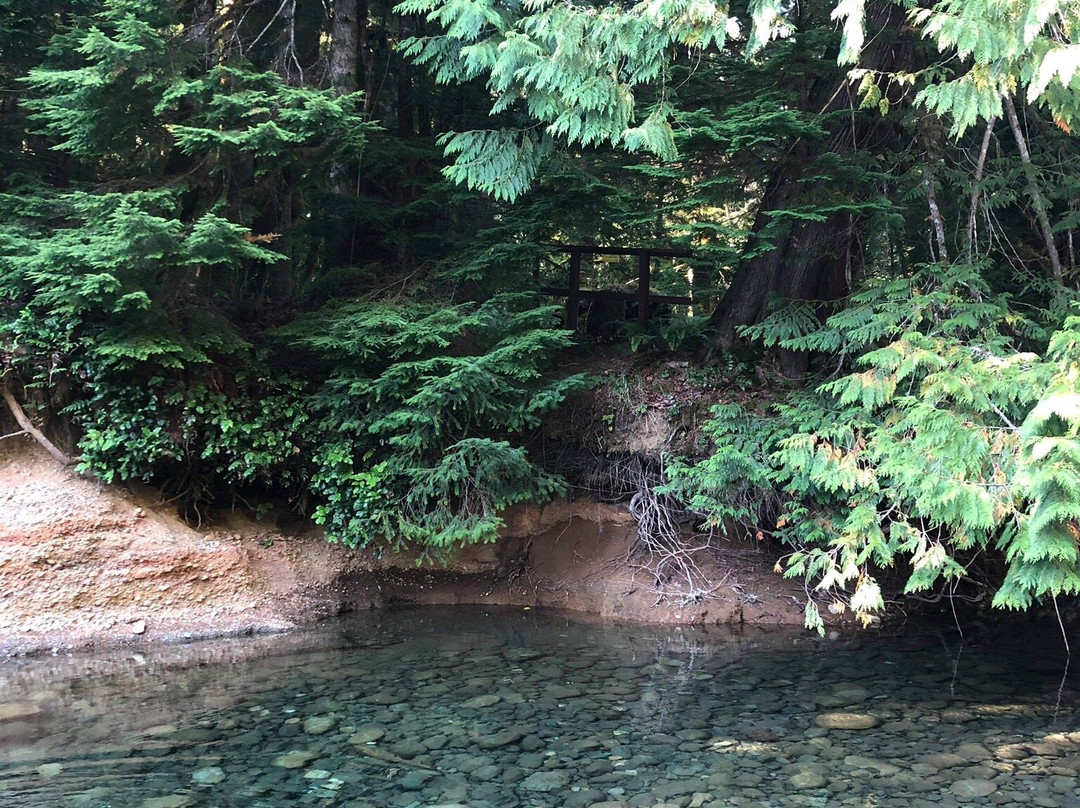 Rosewall Creek Provincial Park景点图片