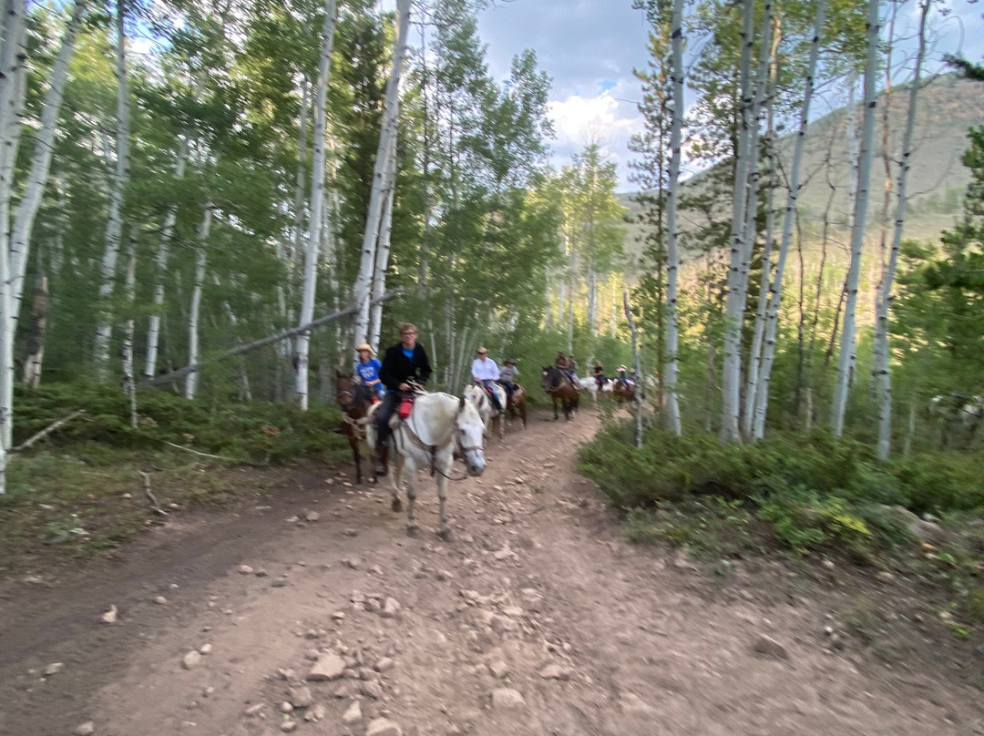 Drowsy Water Ranch主图