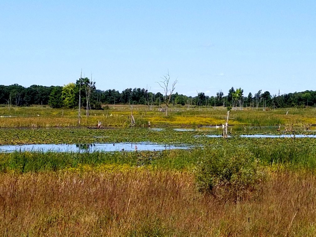 Sherburne National Wildlife Refuge景点图片