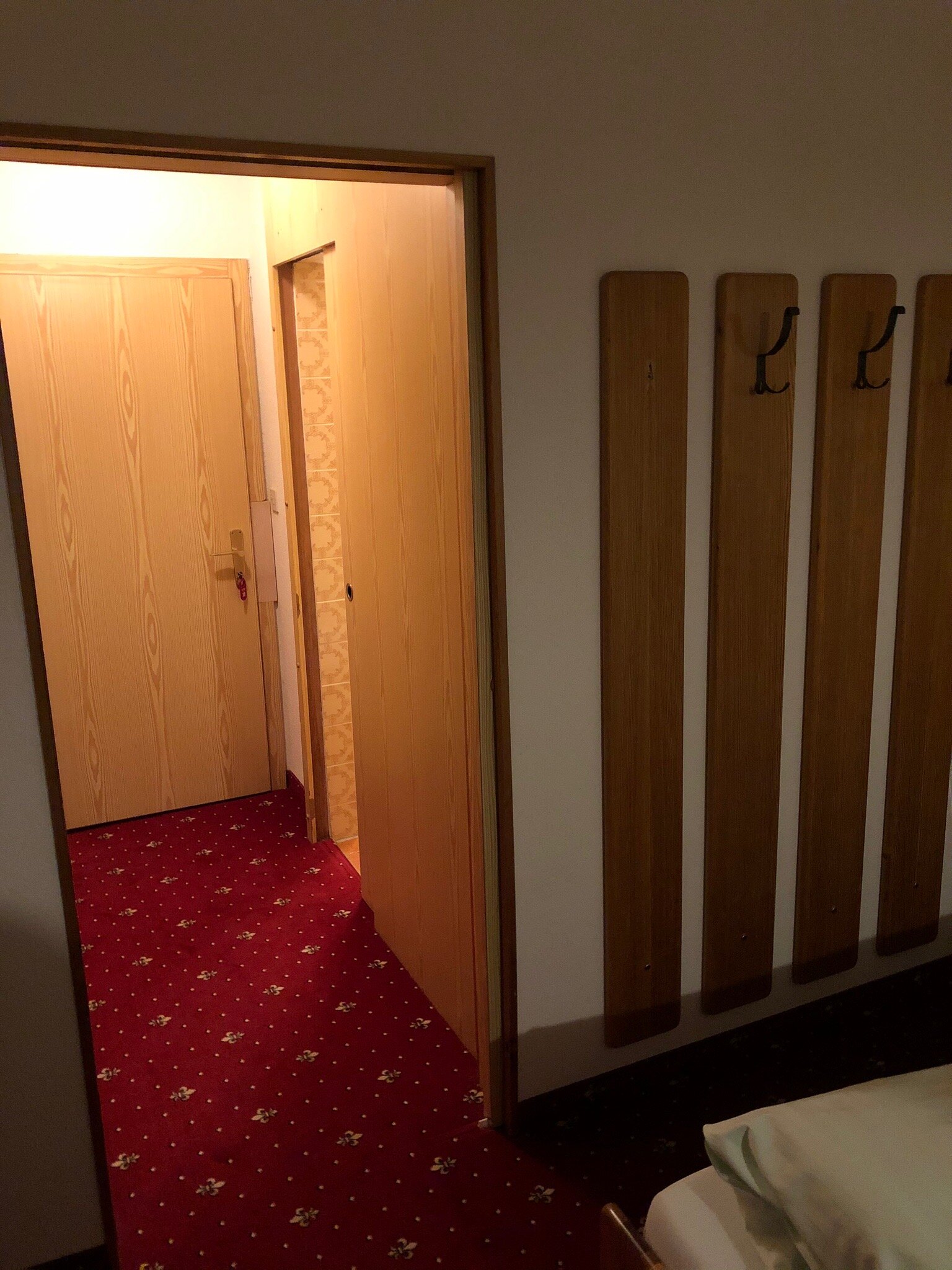 Hotel Alpina-Regina-官方