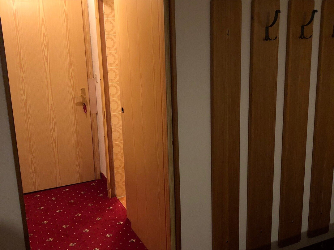 Hotel Alpina-Regina主图