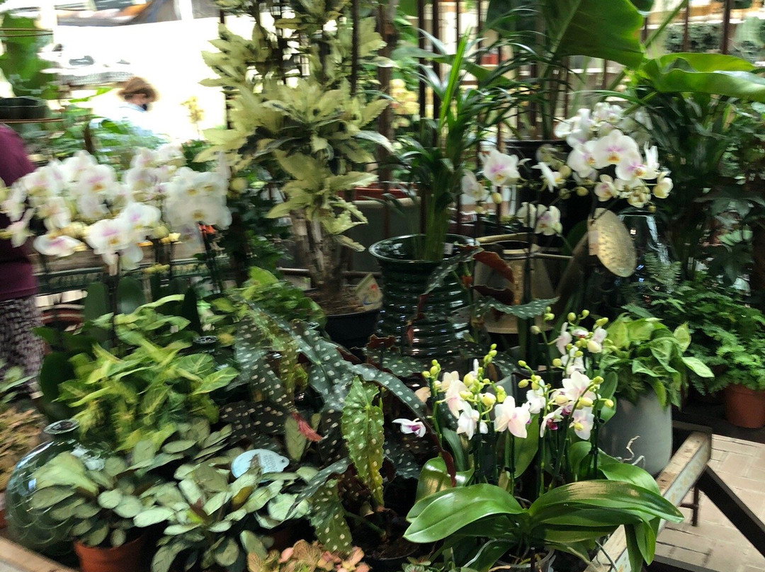 Burford Garden Company景点图片