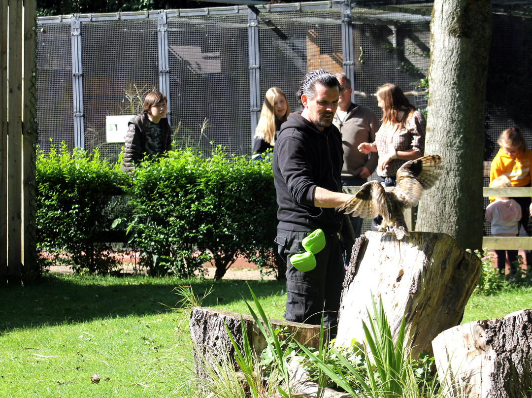 Kirkleatham Owl Center-Redcar必去景点