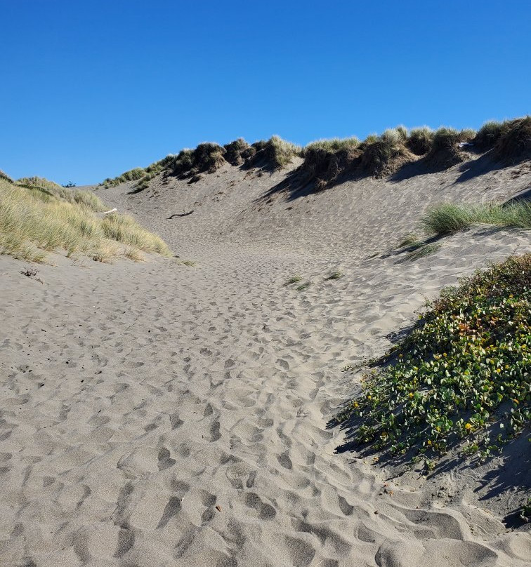 Sonoma Coast State Beach - Salmon Creek景点图片