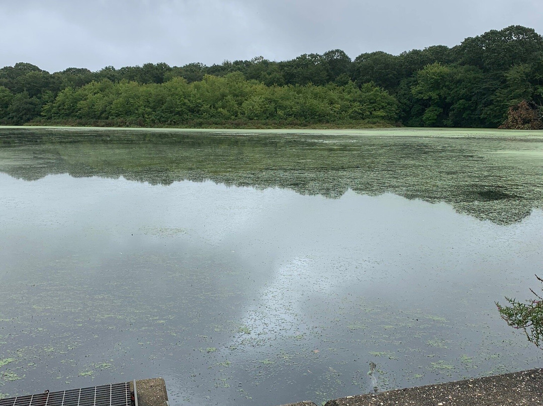 Millers Pond-Smithtown必去景点