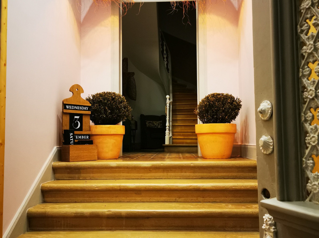 Aleixomor'Aqui主图