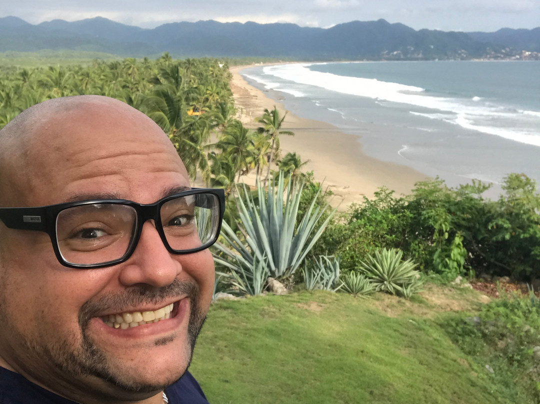 Coconuts by the Sea主图