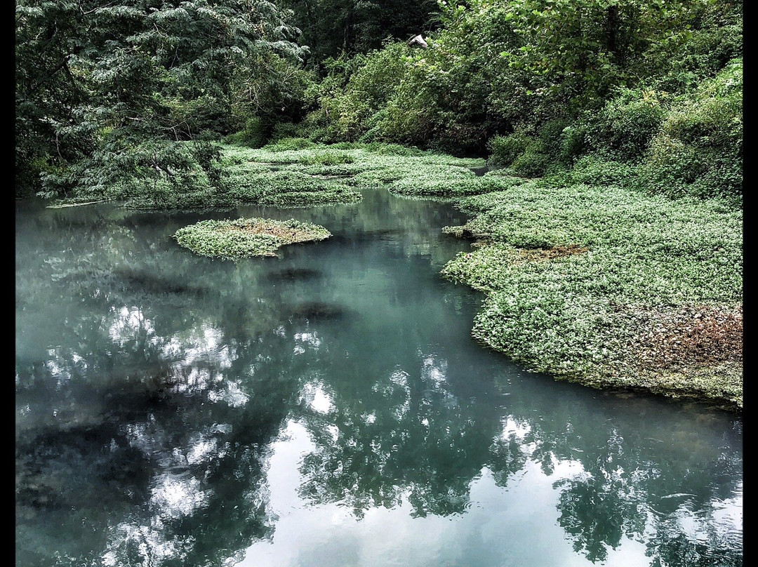 Caulfield旅游攻略图片