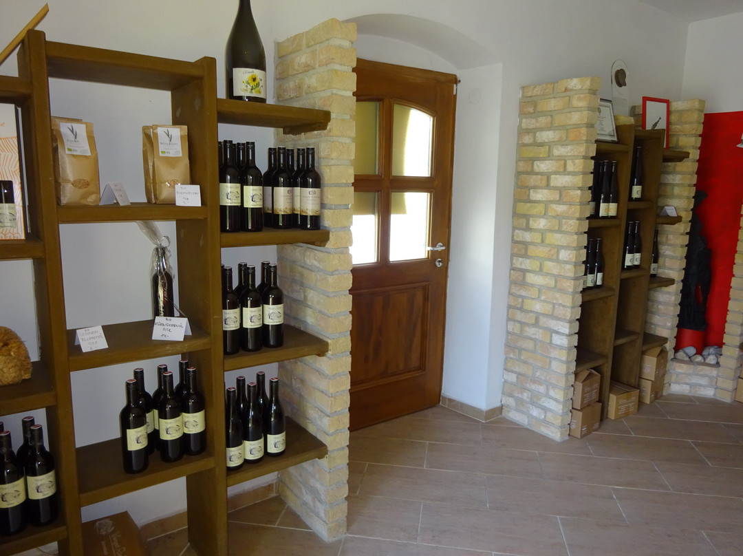 Weingut Rucker景点图片