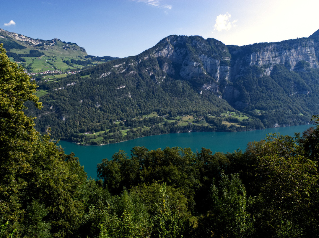 Canton of Glarus餐馆和美食-Hotel Cafe Seeblick