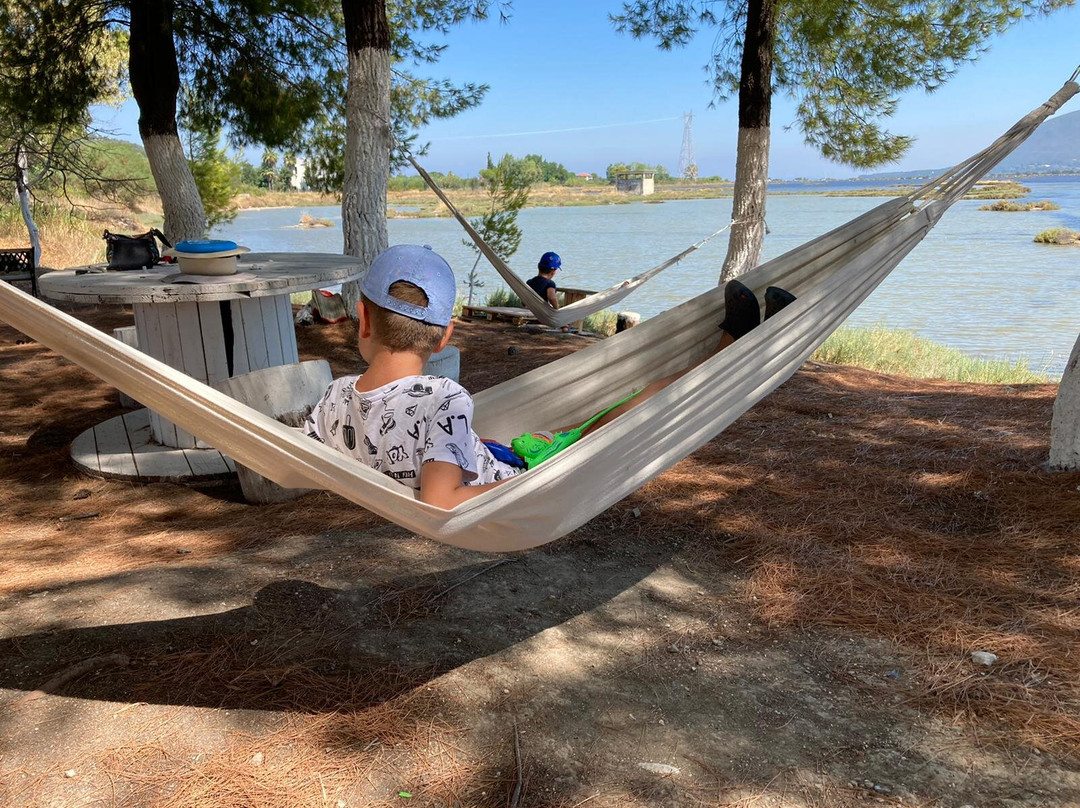 Villa Olga Apartments & Studios主图