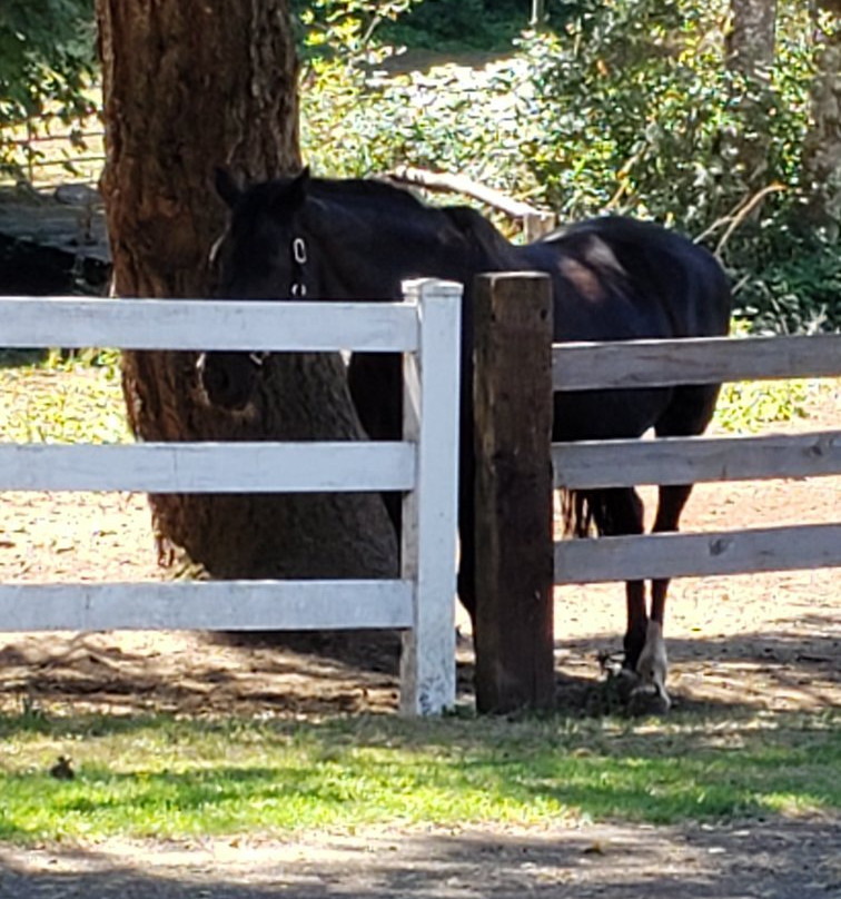 Corbett Farm-波特兰必去景点