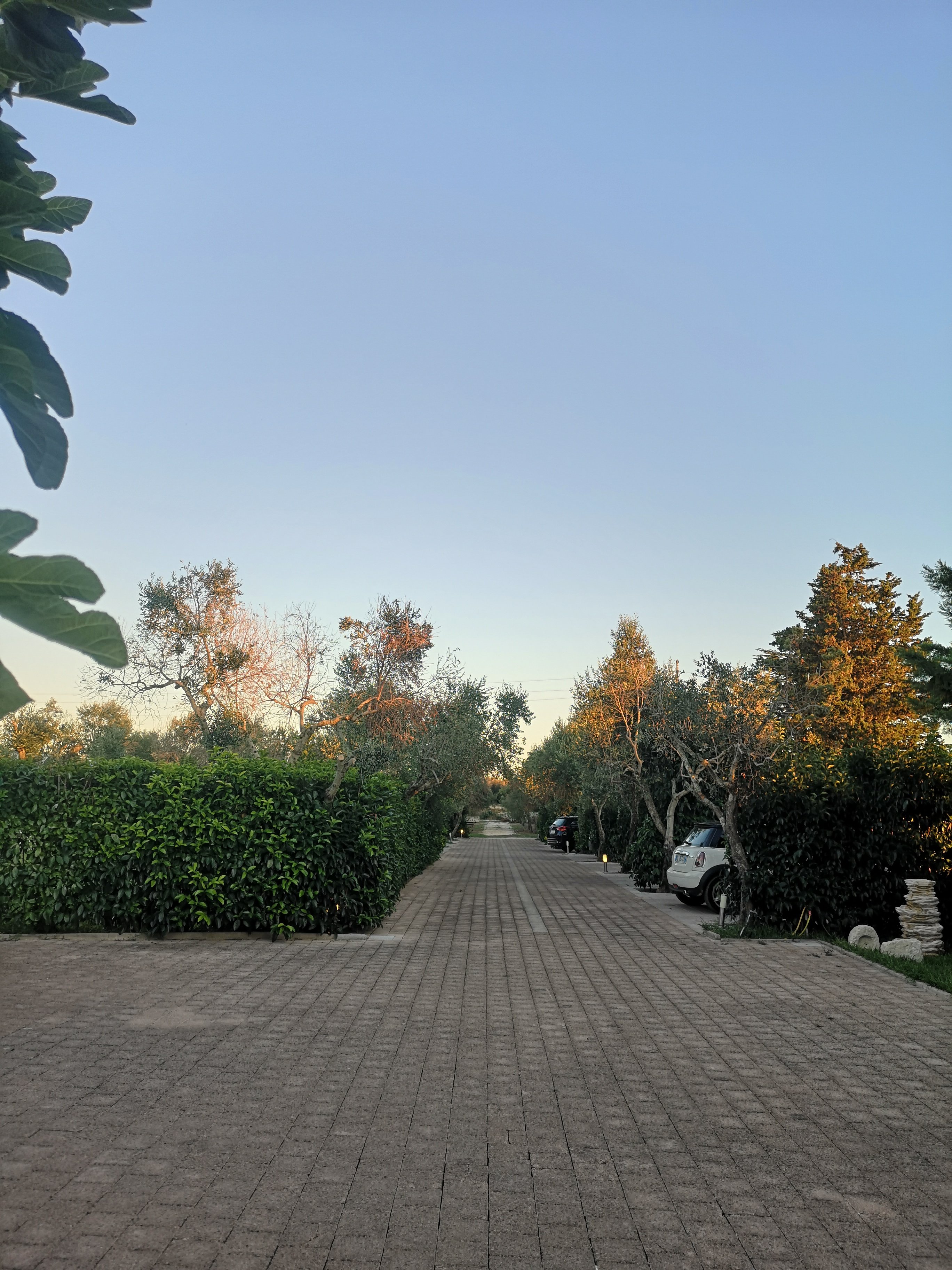 B&B Terra Serena-官方